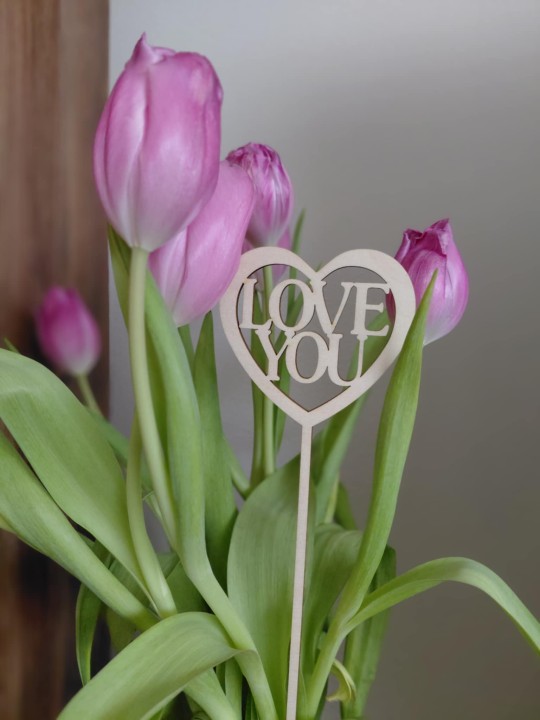6c319cf5-cdbf-4613-88b9-d374be23cd7f.jpg