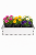 ChatGPT Image 2 mar 2026, 09_02_50.png